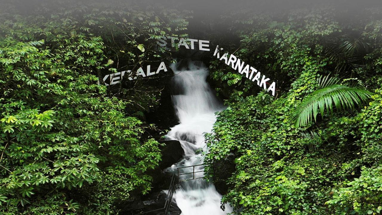Holistic Stay Eco-Resort & Ayurvedic Retreat Paithalmala Bagian luar foto