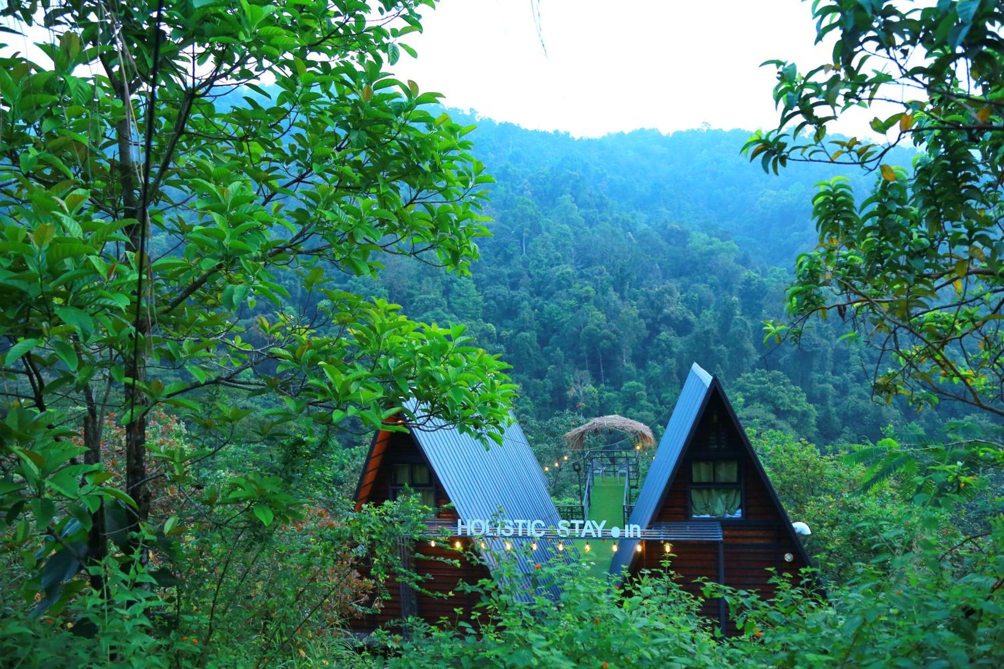 Holistic Stay Eco-Resort & Ayurvedic Retreat Paithalmala Bagian luar foto